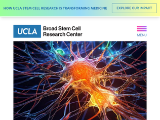 Preview of 'UCLA discovers first stroke rehabilitation drug to repair brain damage (2025)'