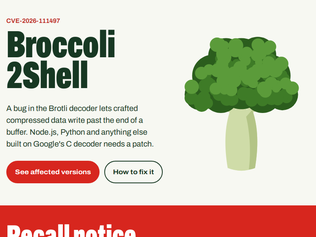 Preview of 'Broccoli2Shell: Brotli decoder RCE in Node.js, Python and more'